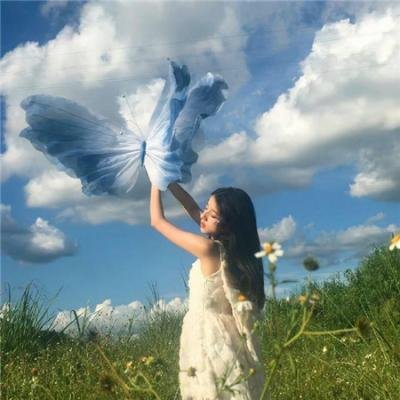 鲨鱼侵袭